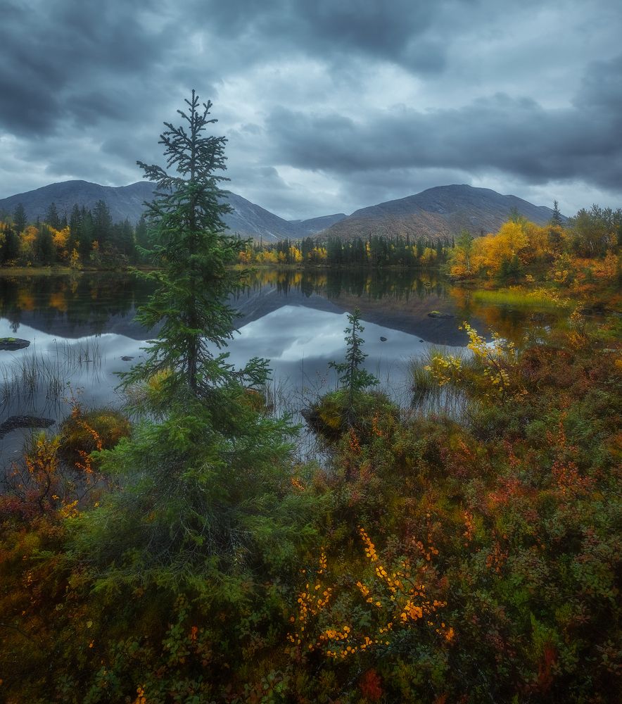 Photograph by Марголин Алексей