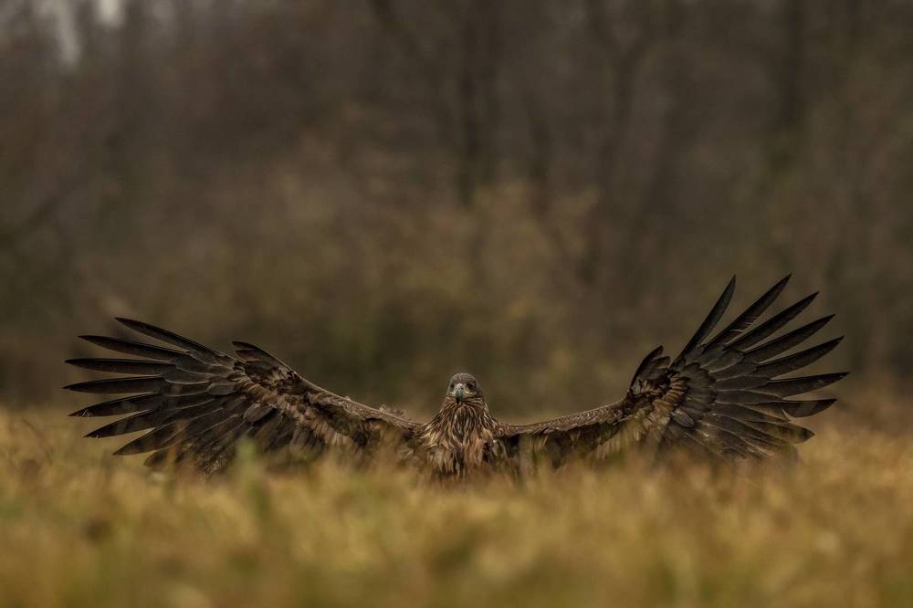 Photograph by Ernestas Balcikonis