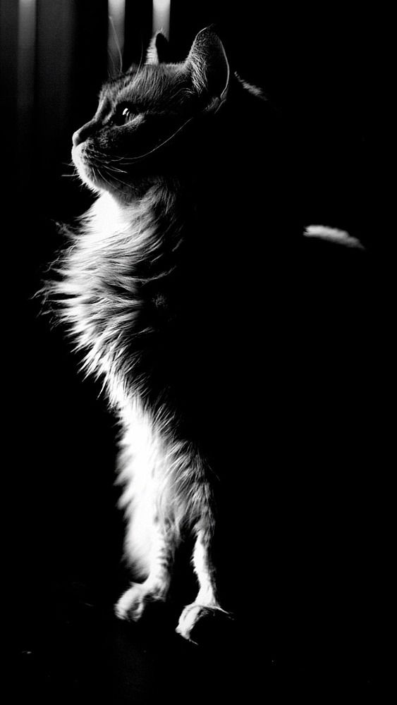 Photograph by Вера Майданова