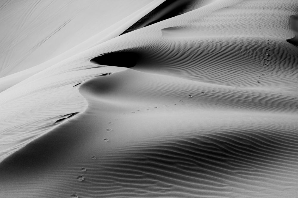 Photograph by mokhalad albu mohamad