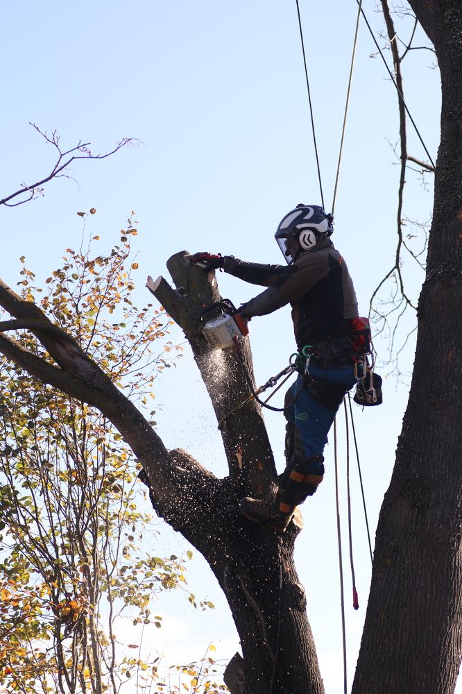 Photograph by Светлана Богомолова