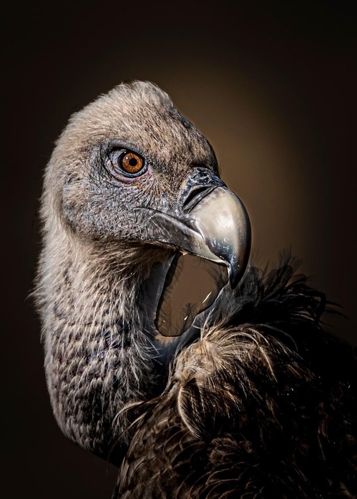 Photograph by Amelia