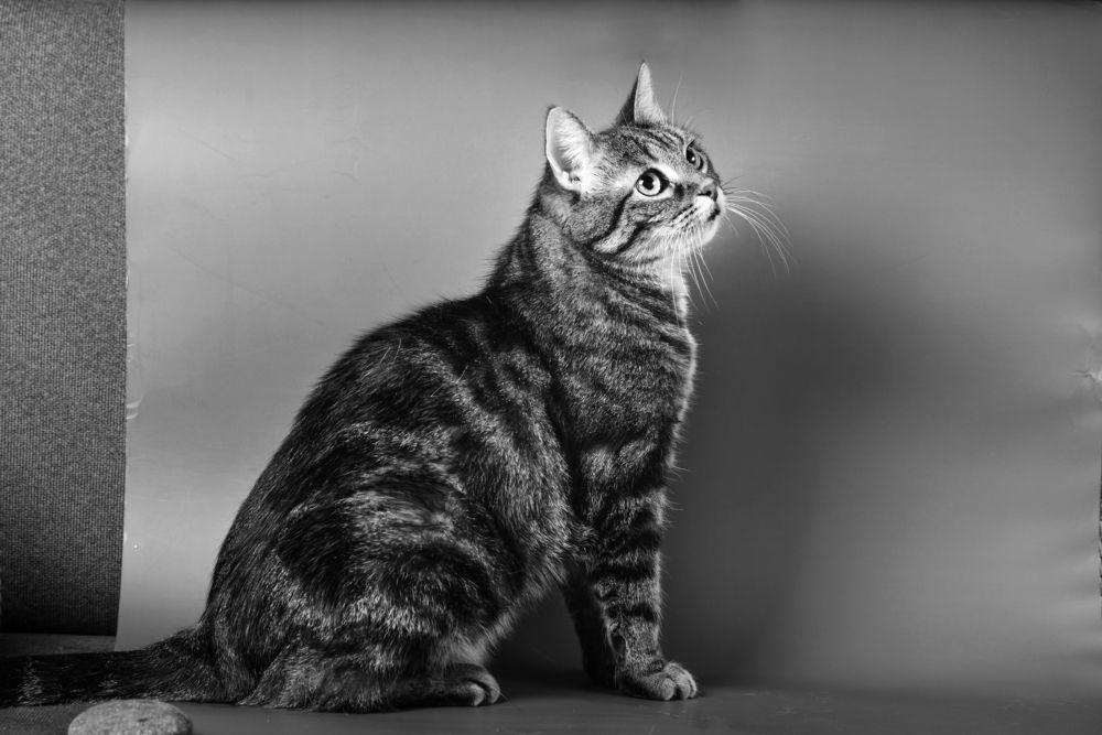 Photograph by Ангела Честнова