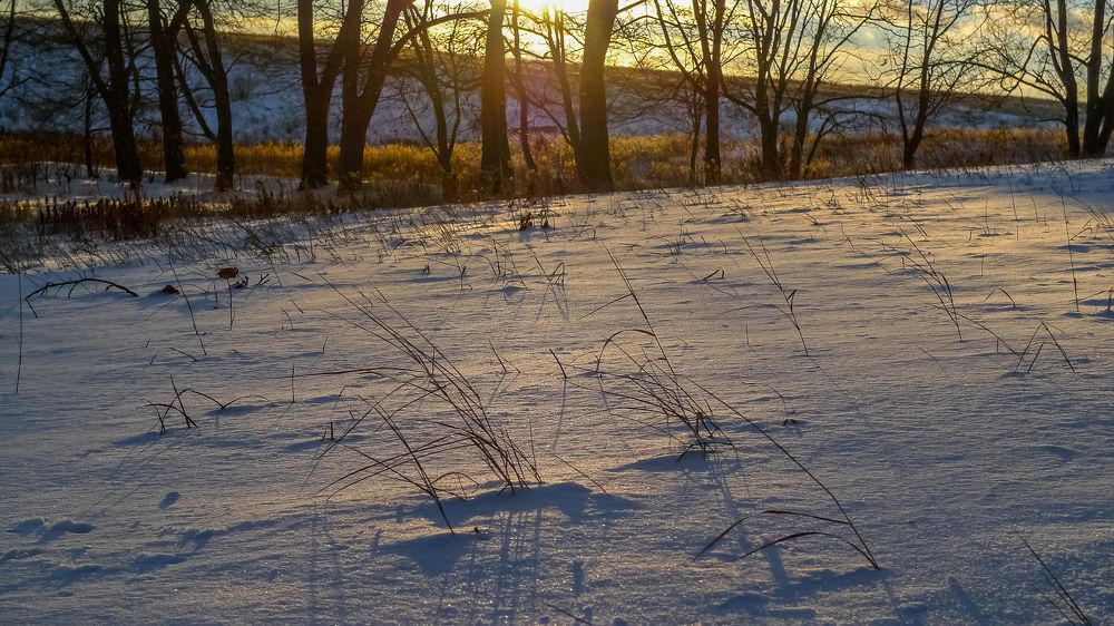 Photo #8552118