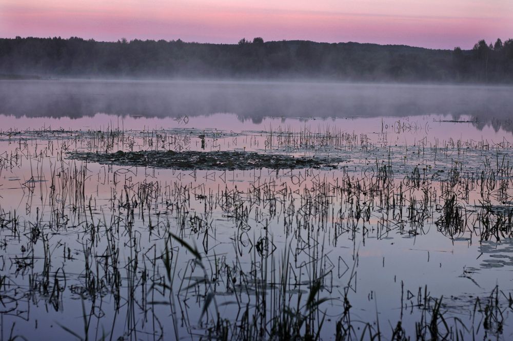 Photograph by Анжелика Медведева