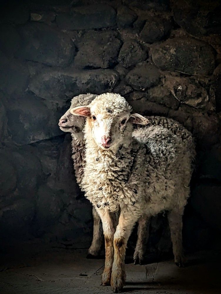 Photograph by Ольга