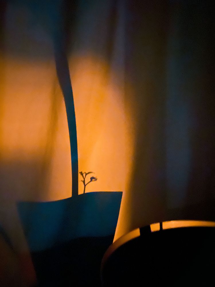 Фотография автора Надежда Можарова