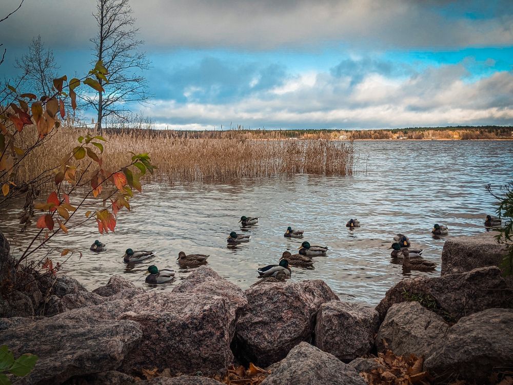 Photograph by Дарья Макаревич