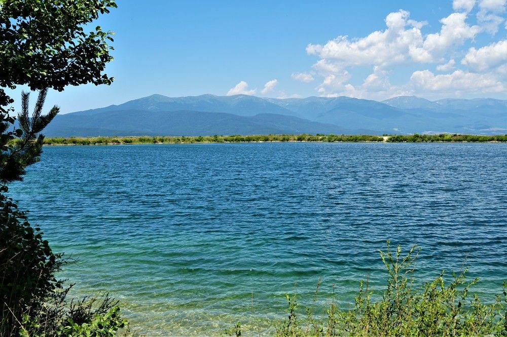 Photograph by Arkady Sandler