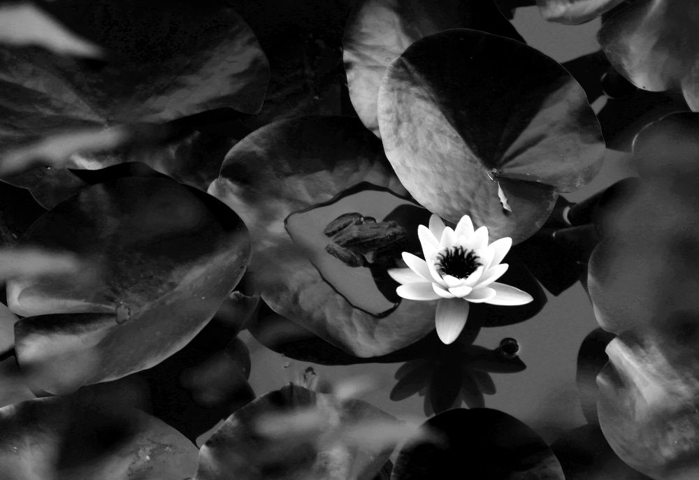 Photograph by Валерия Маркова