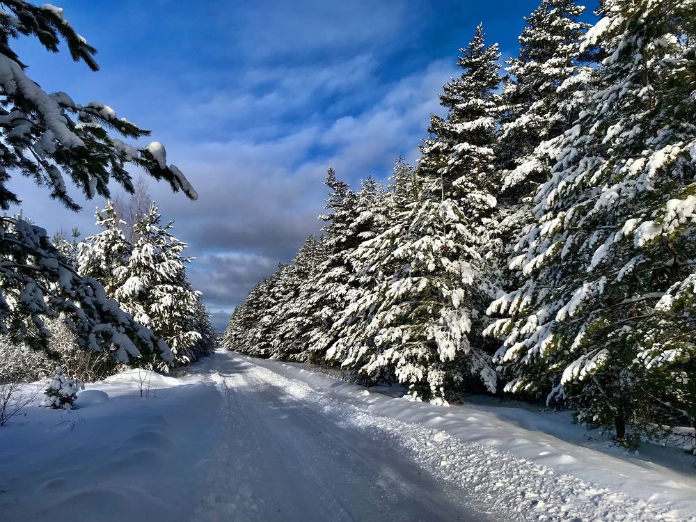 Photograph by Шестакова Наталья