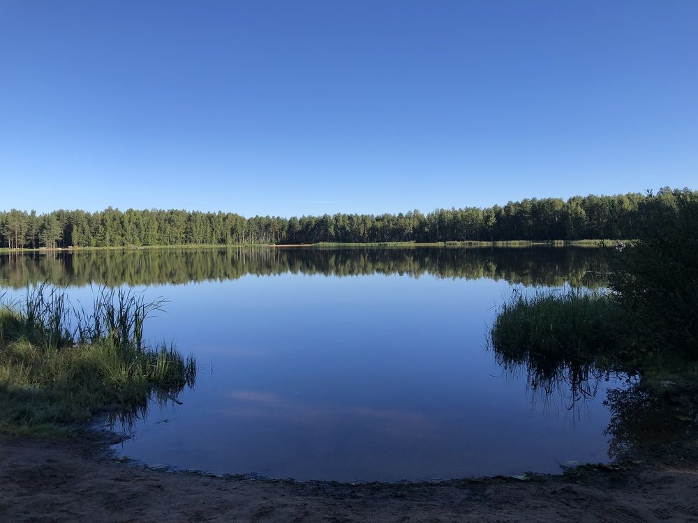 Photograph by Мария Бессмертная