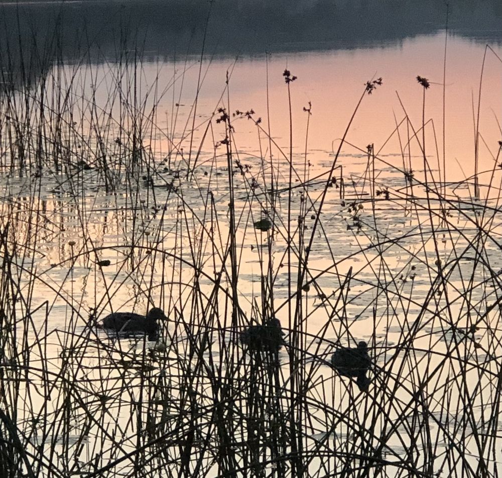 Photograph by Мария Бессмертная