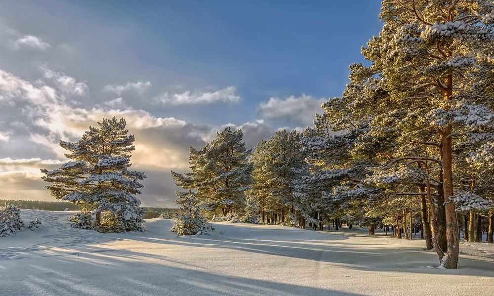 Photograph by Клясюк Галина