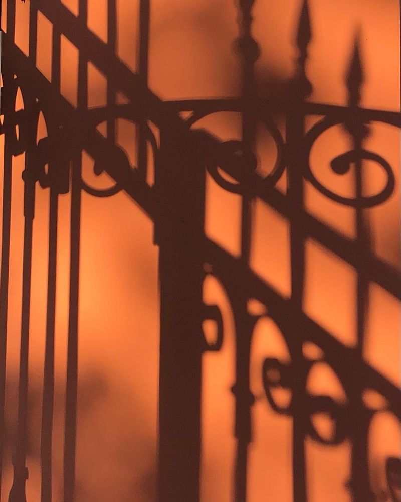 Photograph by Мария Бессмертная