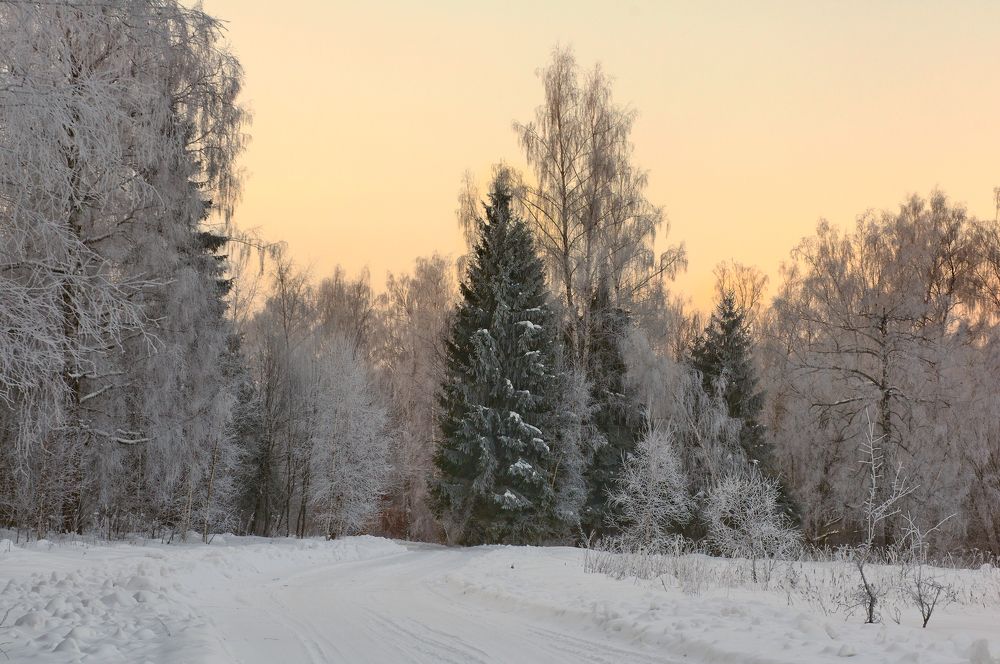 Photograph by Олег Тыркин