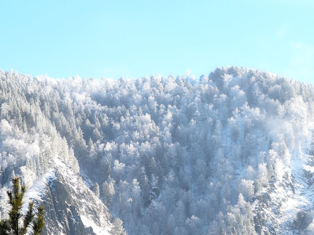 Photograph by МАрина Соловьева