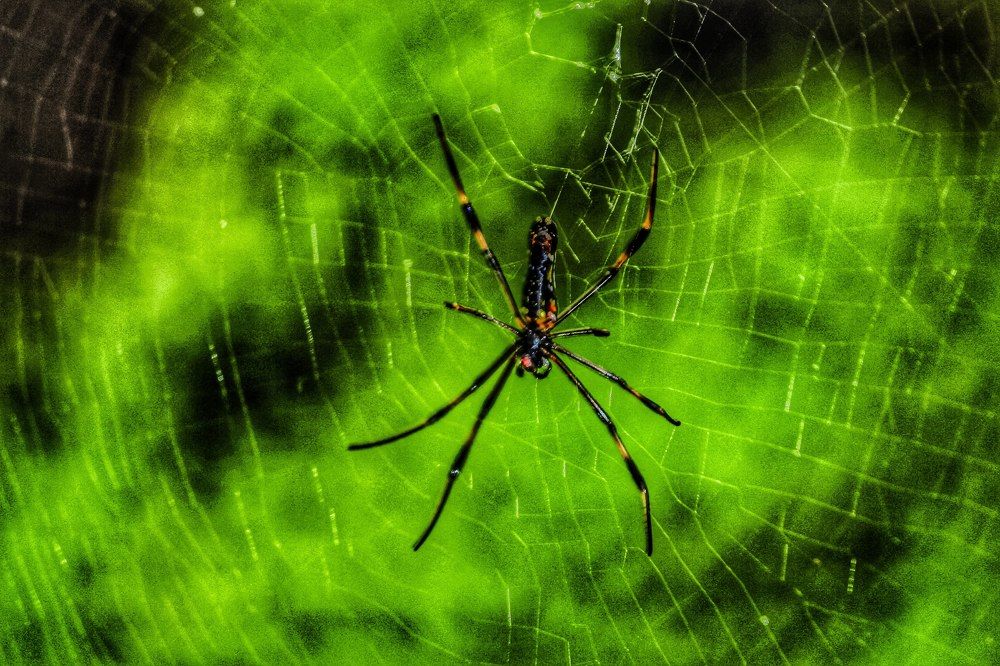 Photograph by Nihar Mane