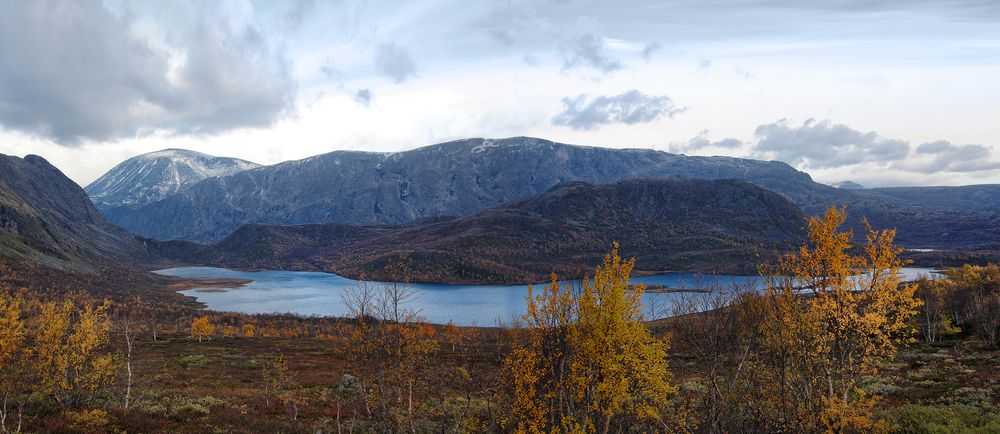 Photograph by Ionika Mink