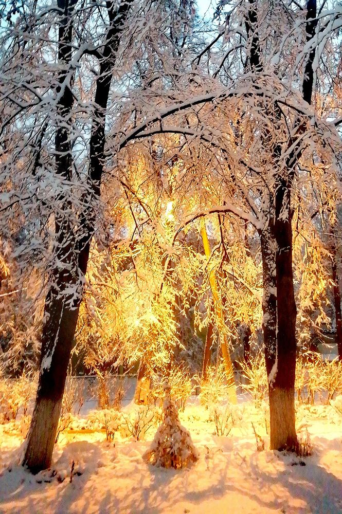 Photograph by Дмитрий Петренко