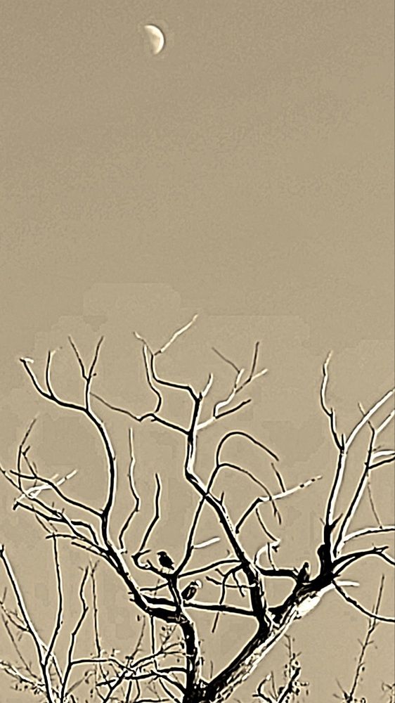 Photograph by Blagoja Mojsoski