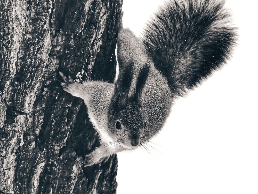 Photograph by Наталия Романова