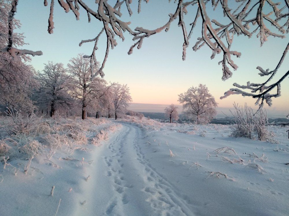 Зимняя дорога.