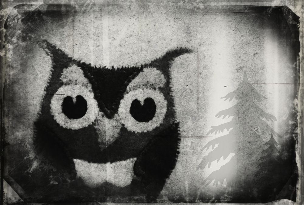 Фотография автора Svetla-ya