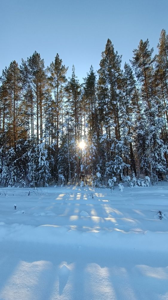 Photograph by Лариса