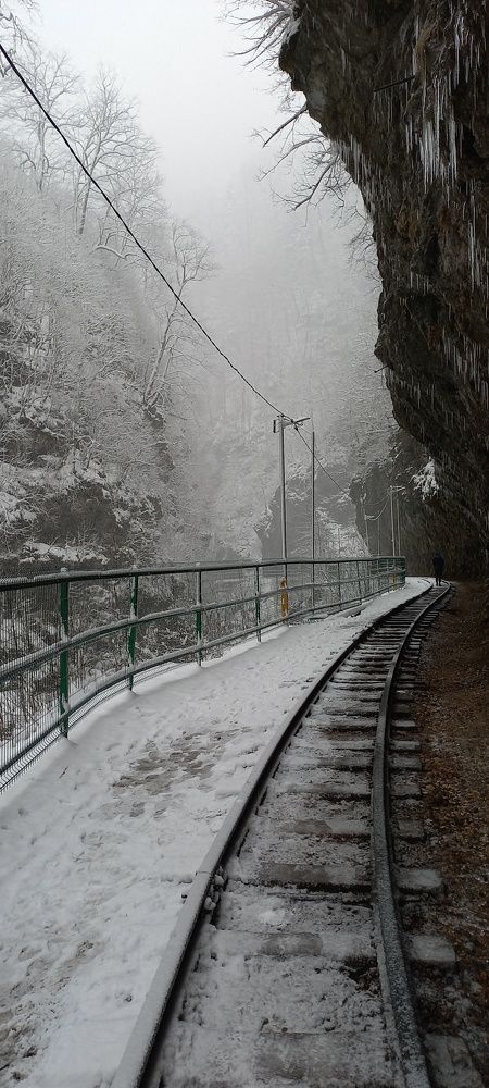 Фотография автора Татьяна Нарайкина