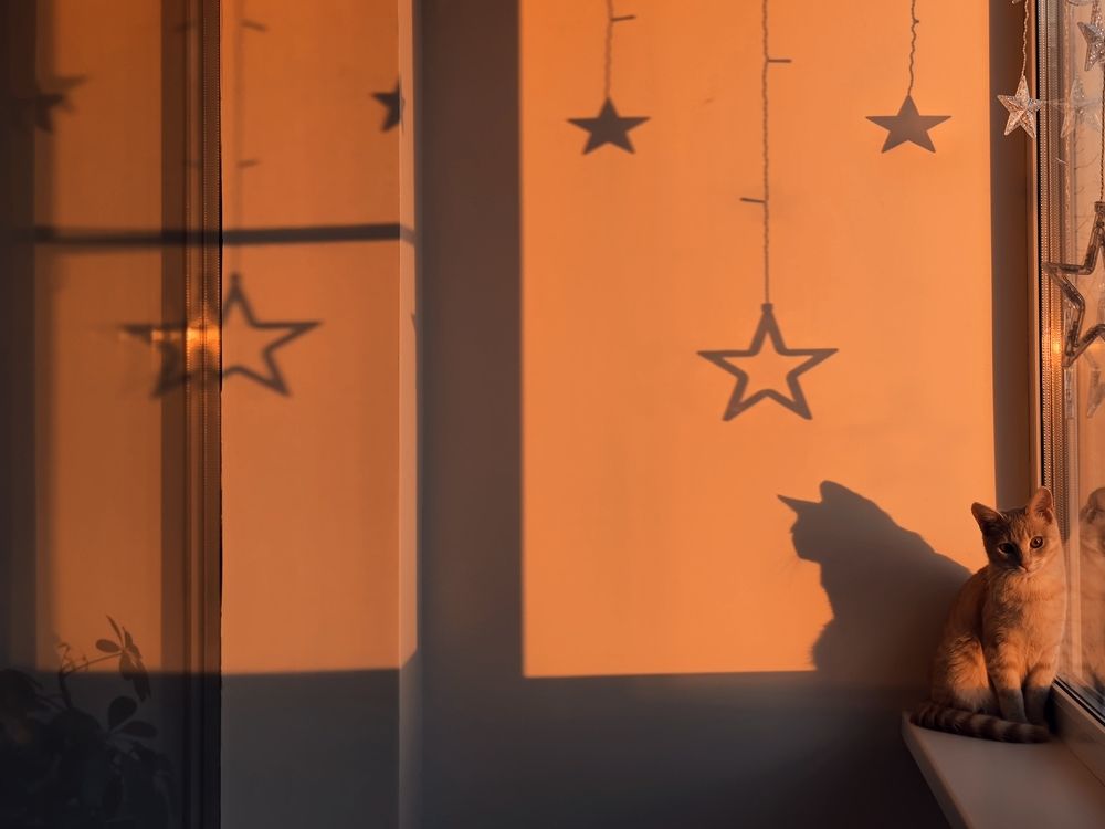 Photograph by Екатерина Харитонова