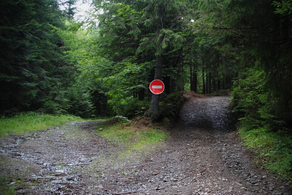 Photograph by Инна Сечко