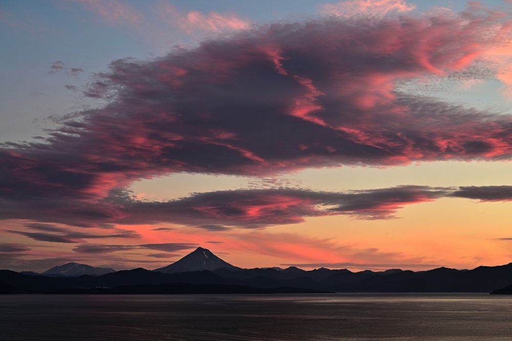 Крыло ангела