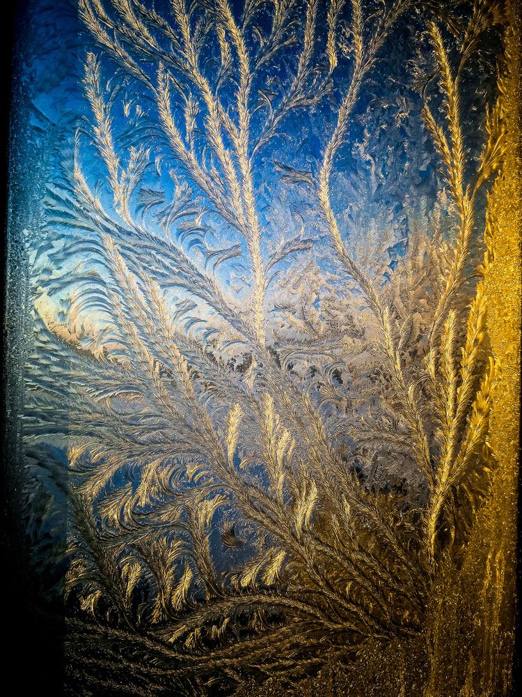 Photograph by Наталья