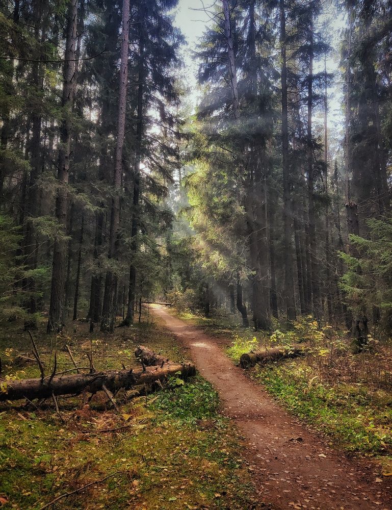 Photograph by Leanid Kulpo