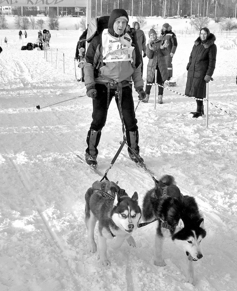 Движение в упряжке с собаками