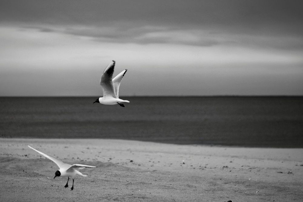 Photograph by Инна Карасева