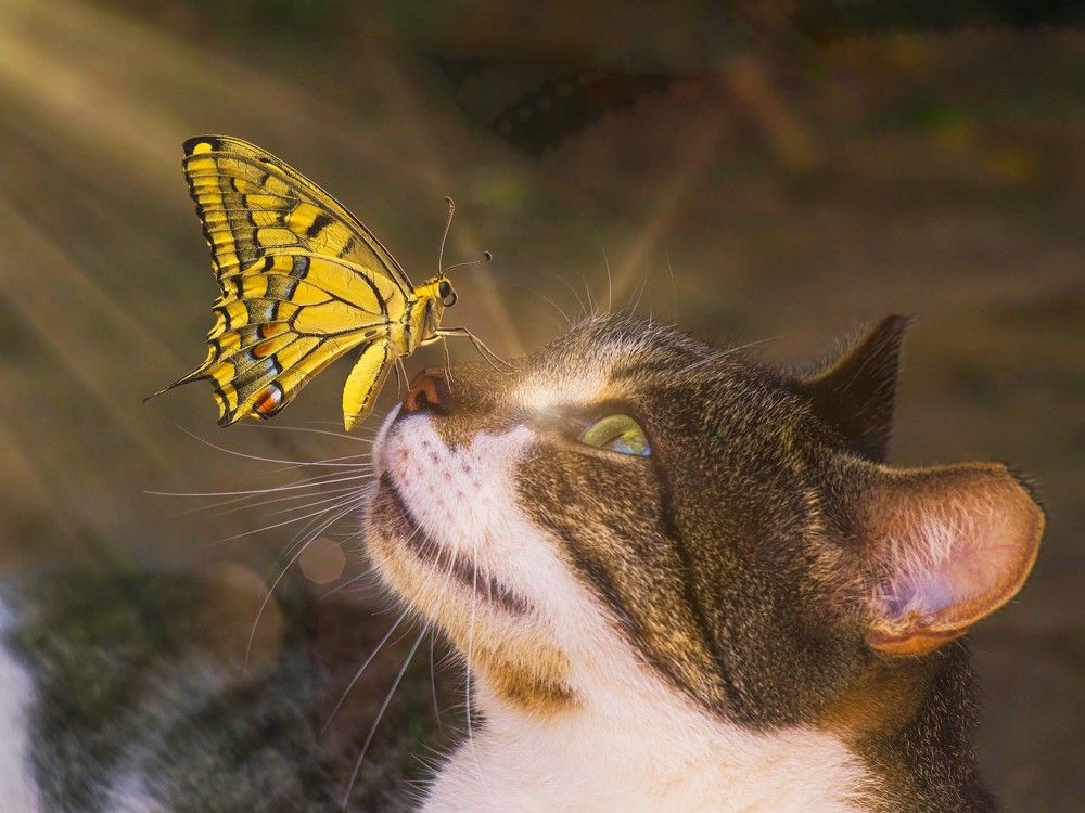 Photograph by Gotcha Biniashvili