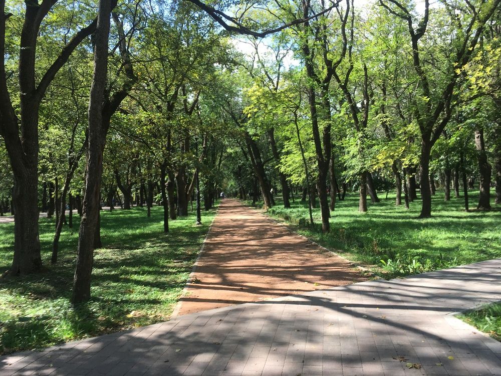 Аллеи Курортного парка Ессентуков