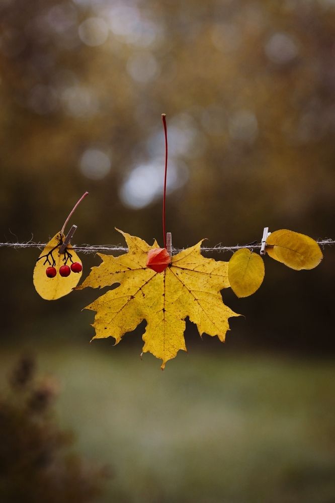 Photograph by Татьяна Королева