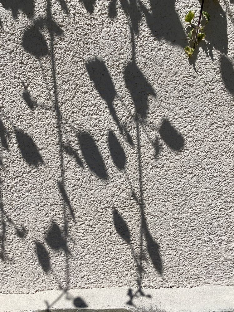 Photograph by Оксана Сидоренко