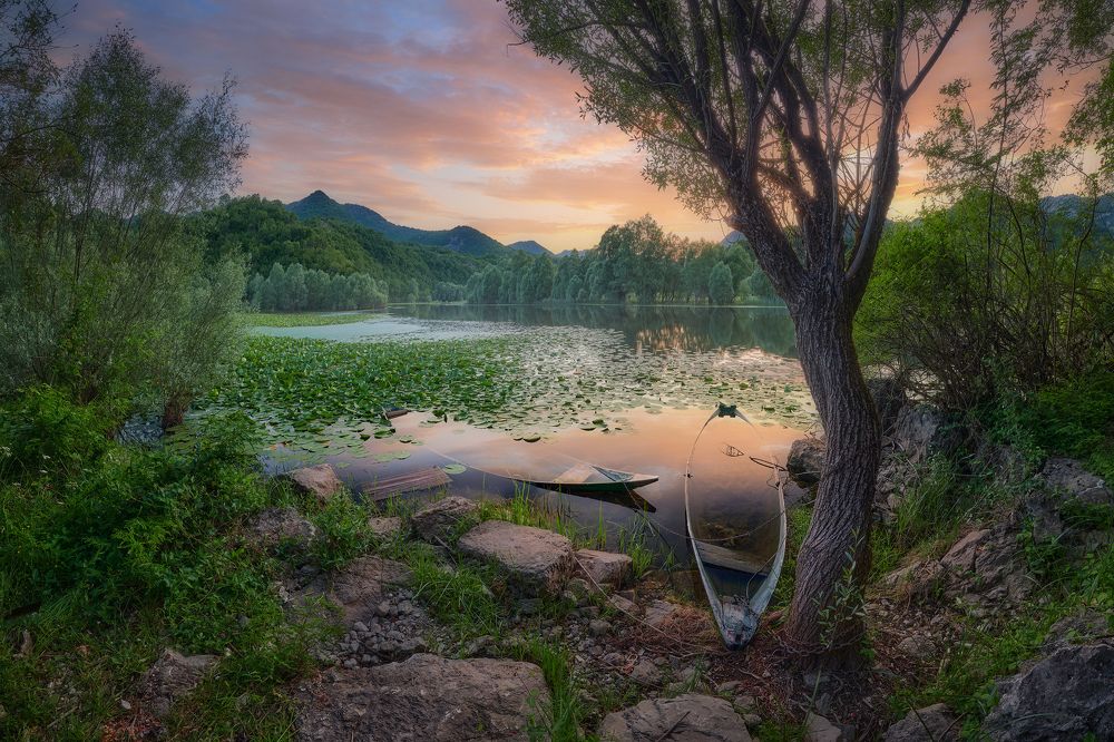 Photograph by Konstantin Voronov