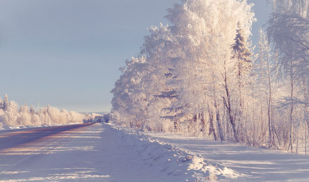 Дальняя дорога