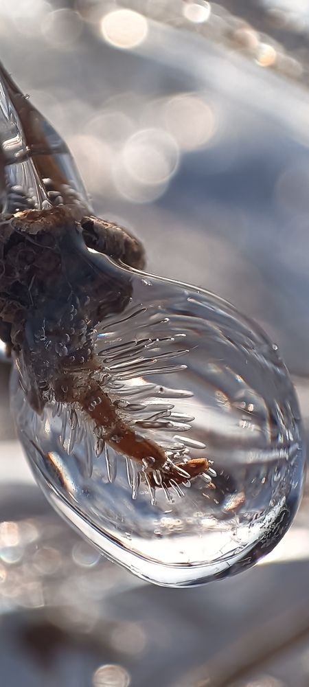 Photograph by Лариса