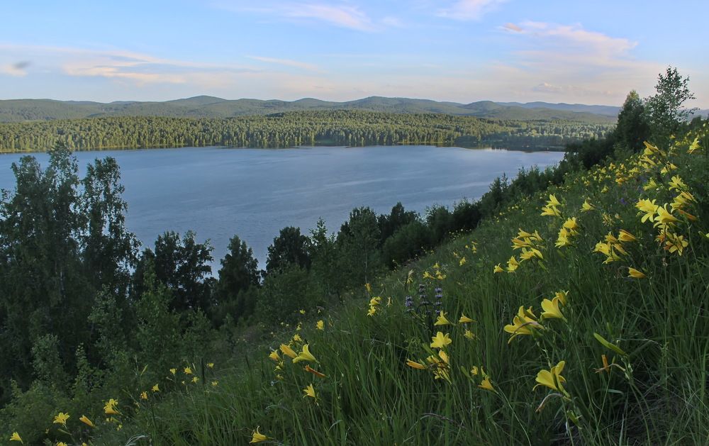 Photograph by Наталья Юрова