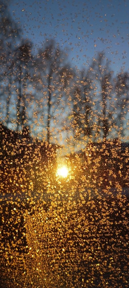 Photograph by Лариса