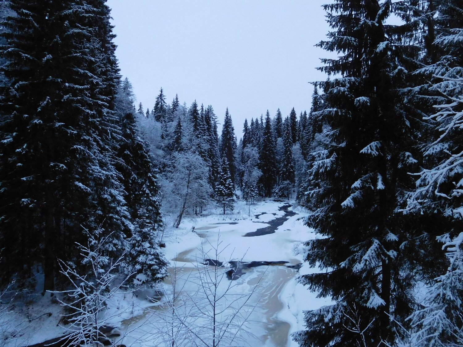 Photo #8552965