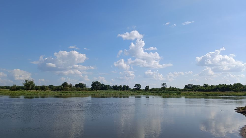 Photograph by Лариса