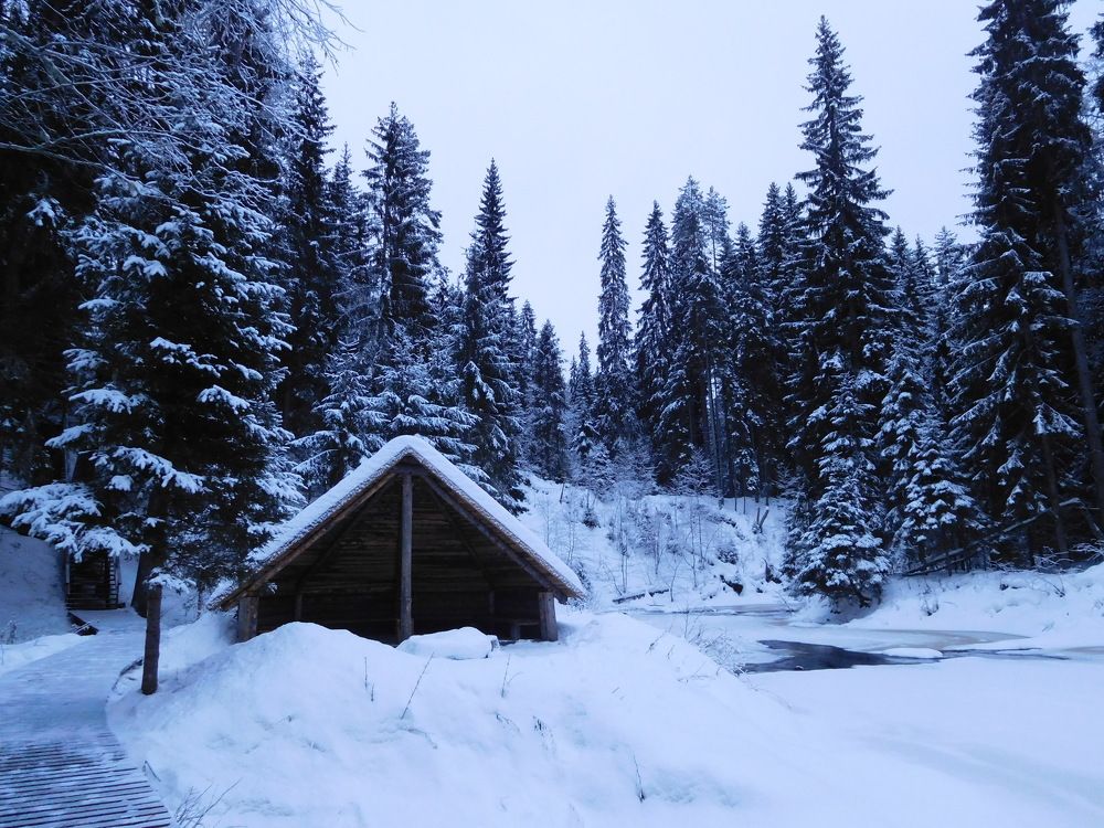 Photo #8552973