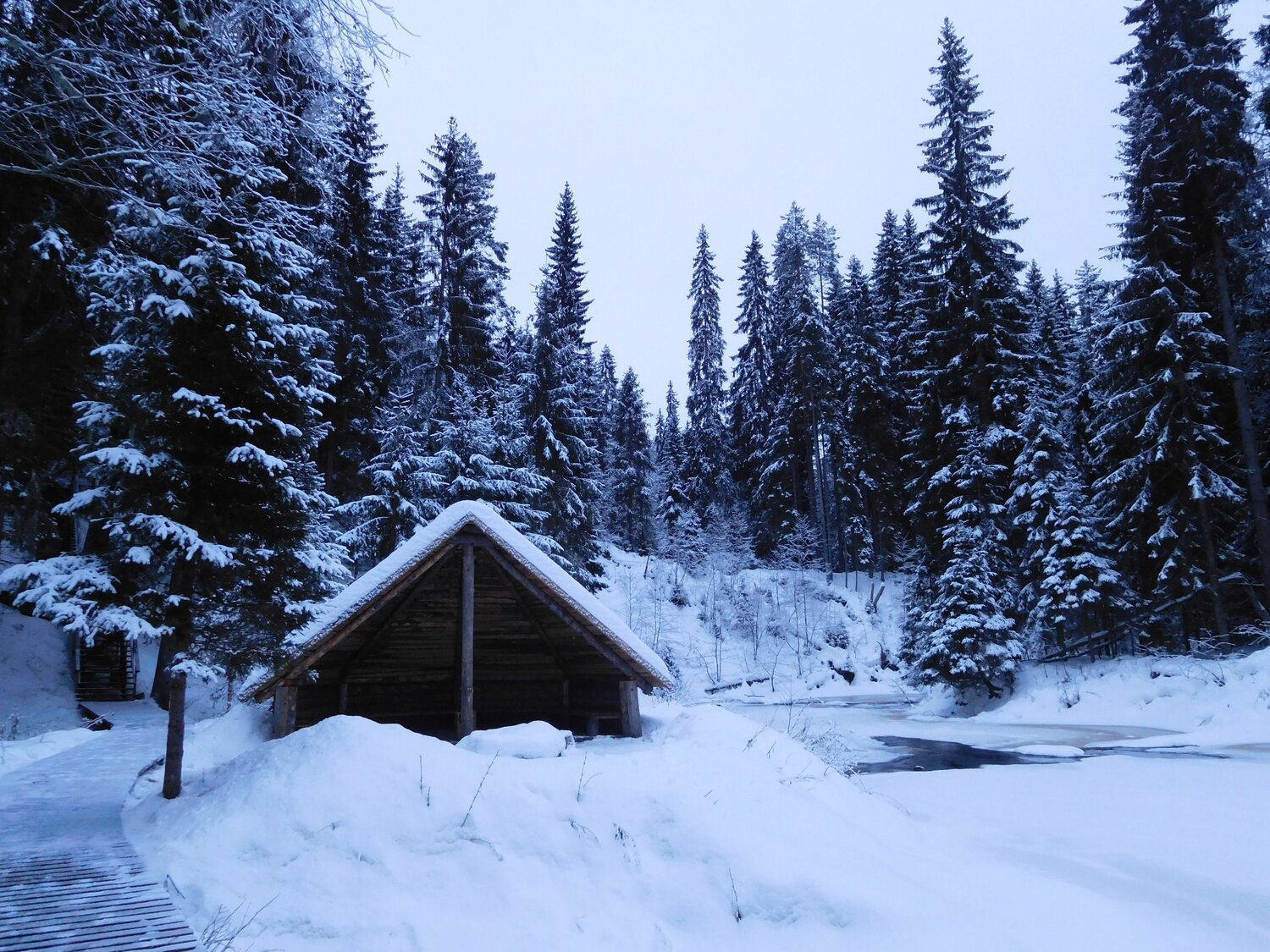 Photo #8552973